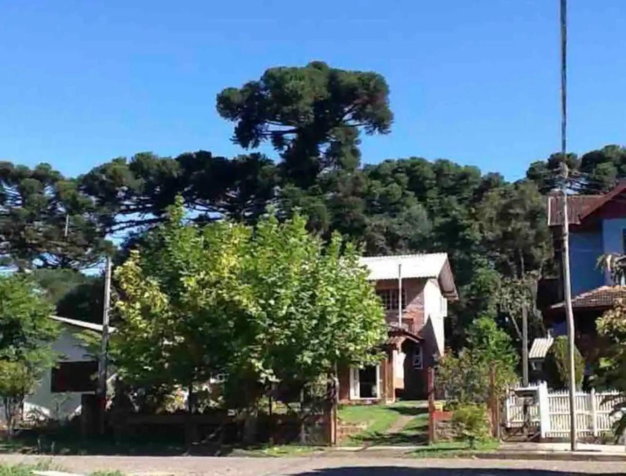 Hospedagem Da Dona Carla 卡内拉 外观 照片